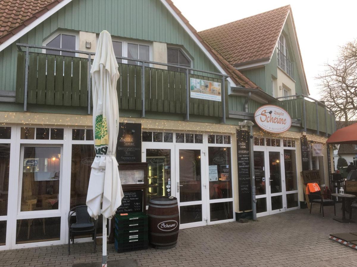 Doppelhaushaelfte Birkenstrasse 5E Villa Zingst Exterior foto