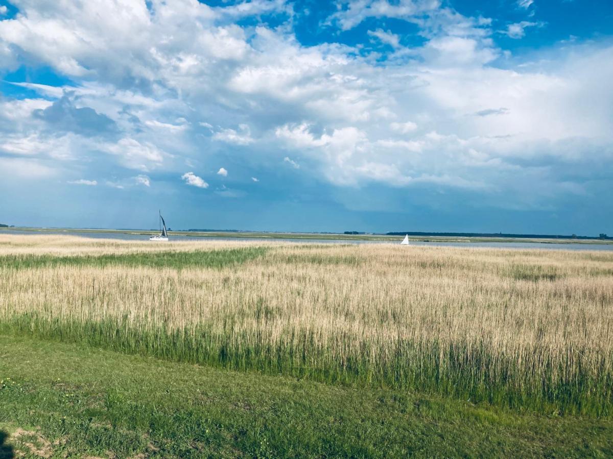 Doppelhaushaelfte Birkenstrasse 5E Villa Zingst Exterior foto