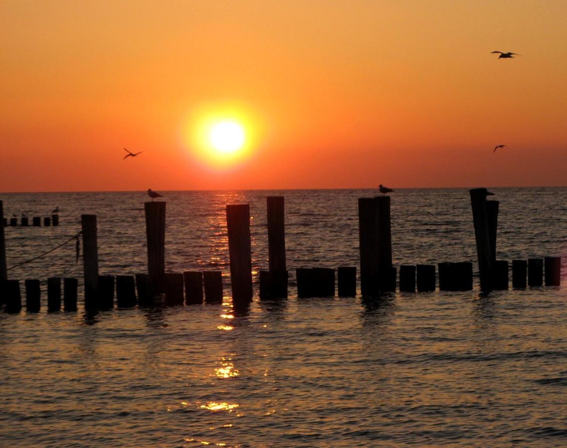 Doppelhaushaelfte Birkenstrasse 5E Villa Zingst Exterior foto